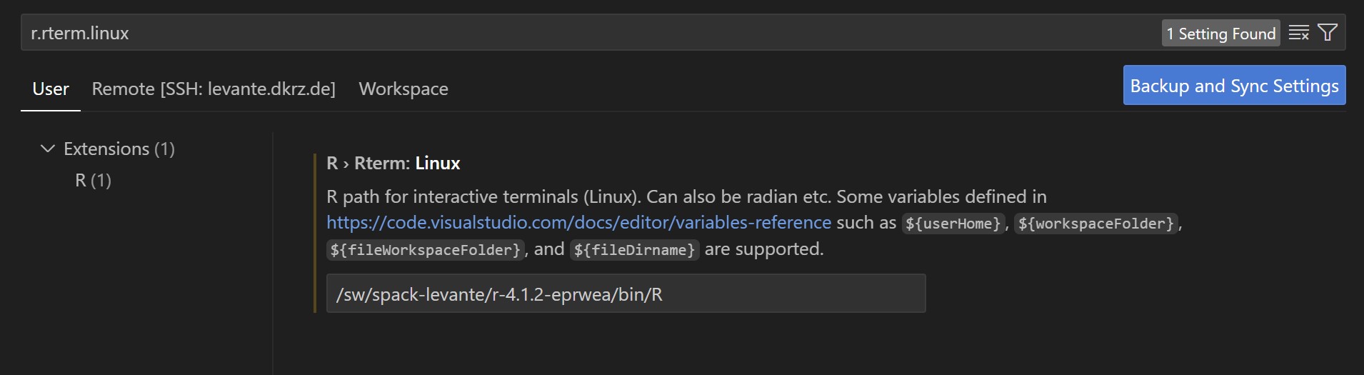 Image depicting how to set the path for the R Terminal in VS Code